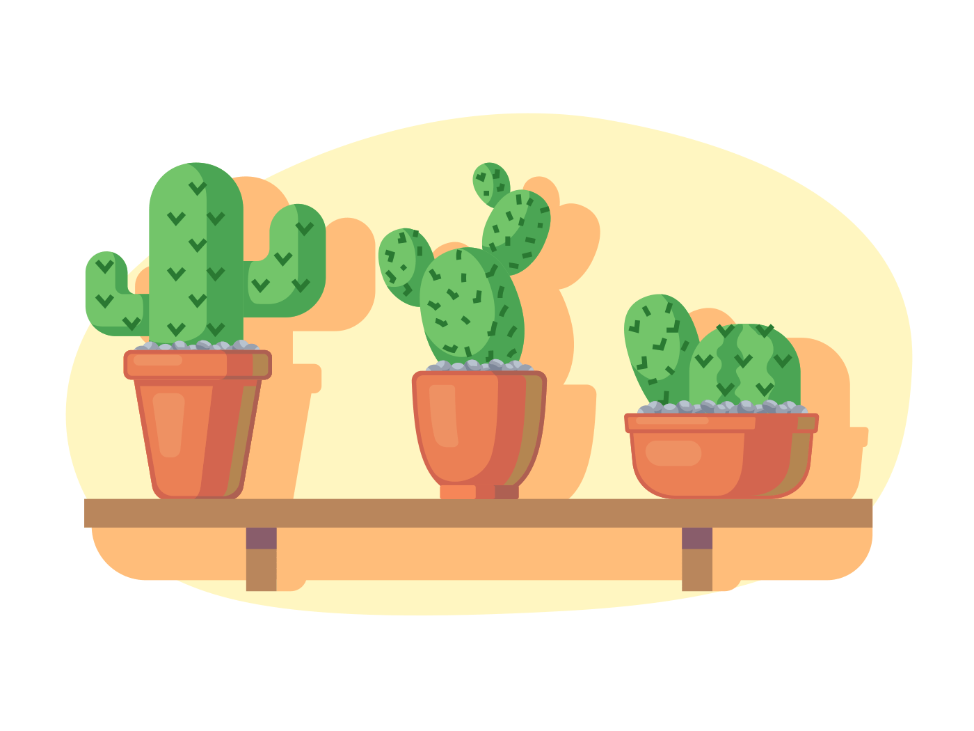 Cacti on wooden shelf
