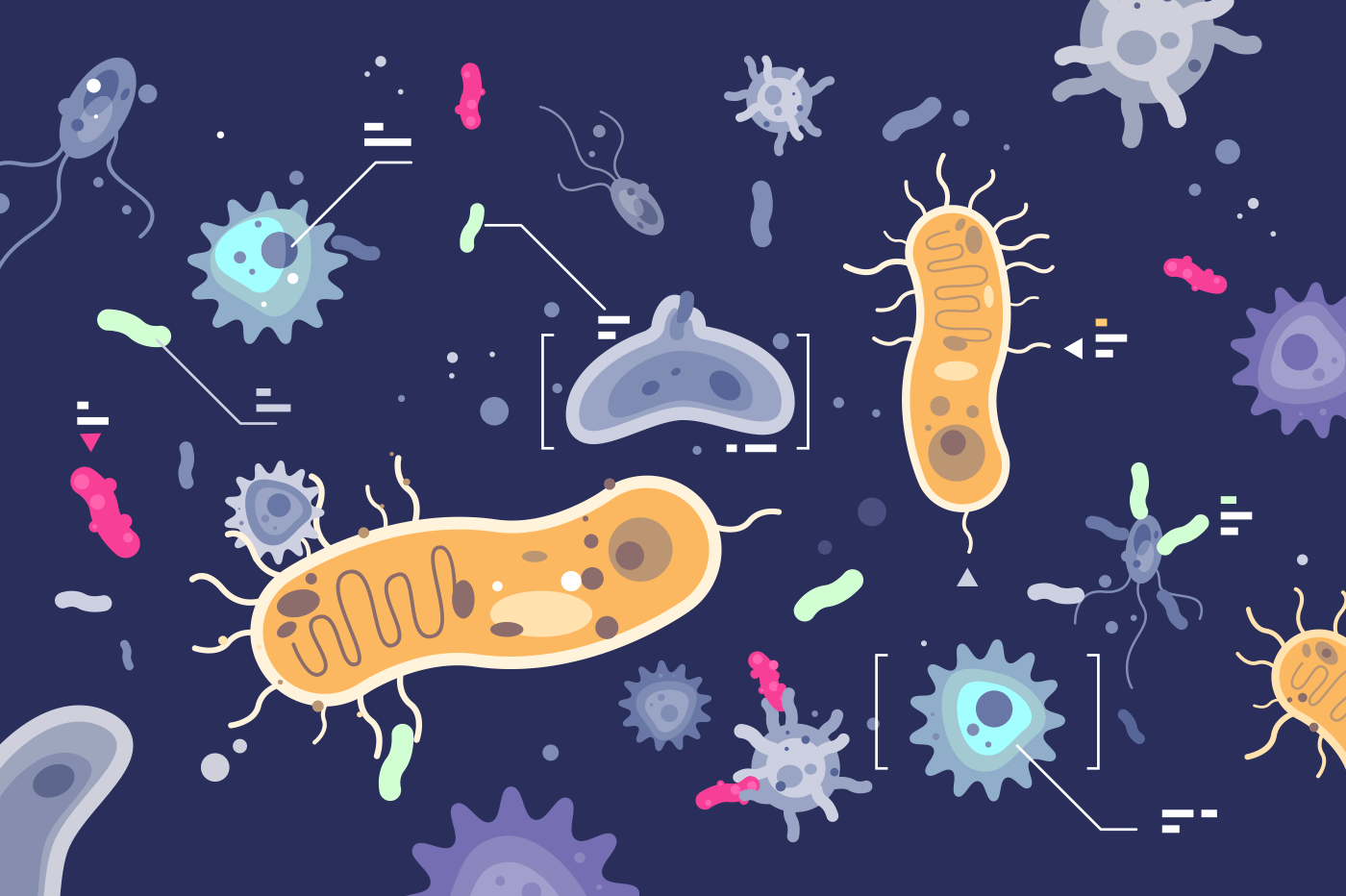Different microbes bacterias microscopic world. Cartoon microorganisms set. Horizontal flat vector illustration.