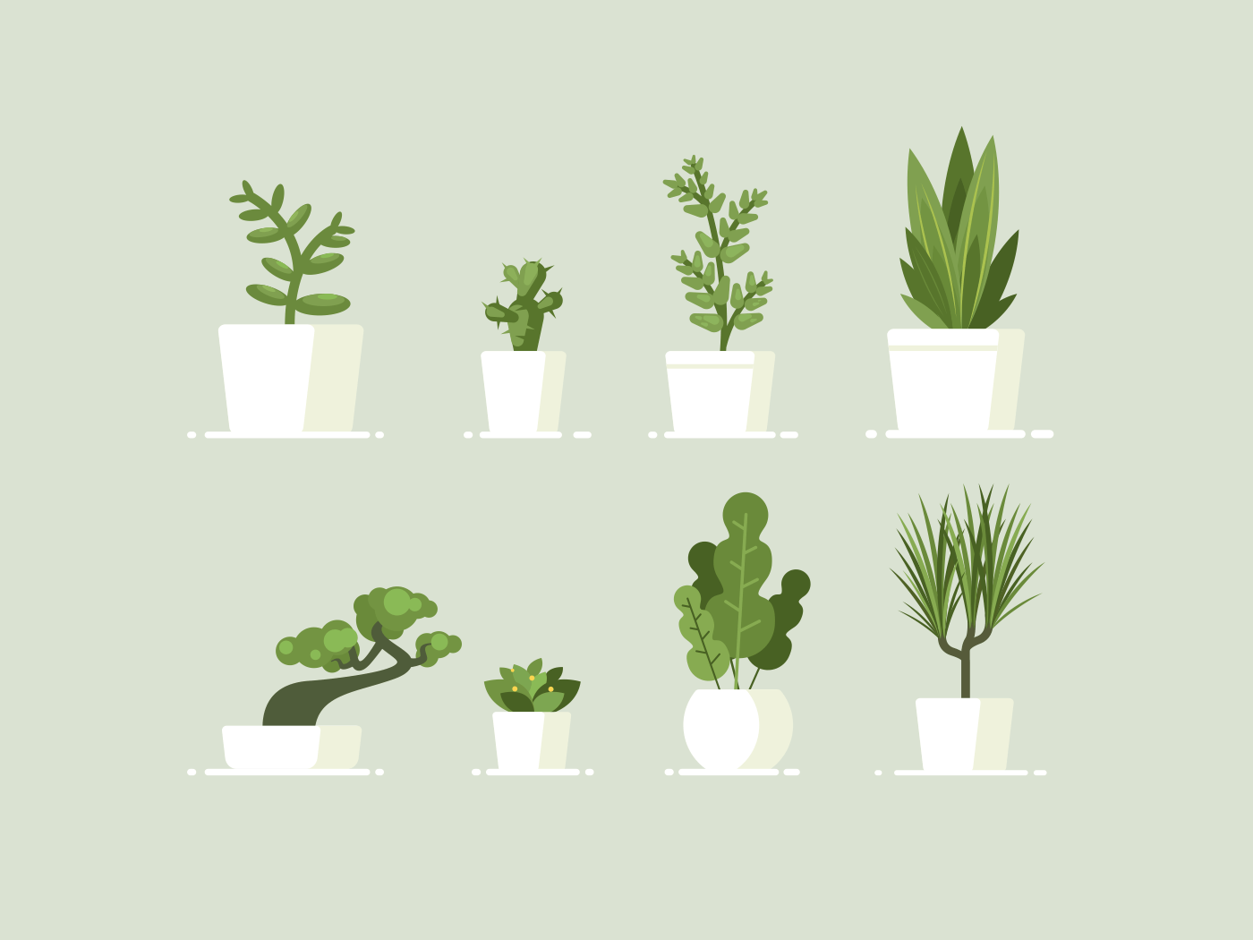 Houseplant in pots. Green natural decor for home and interior. Vector illustration