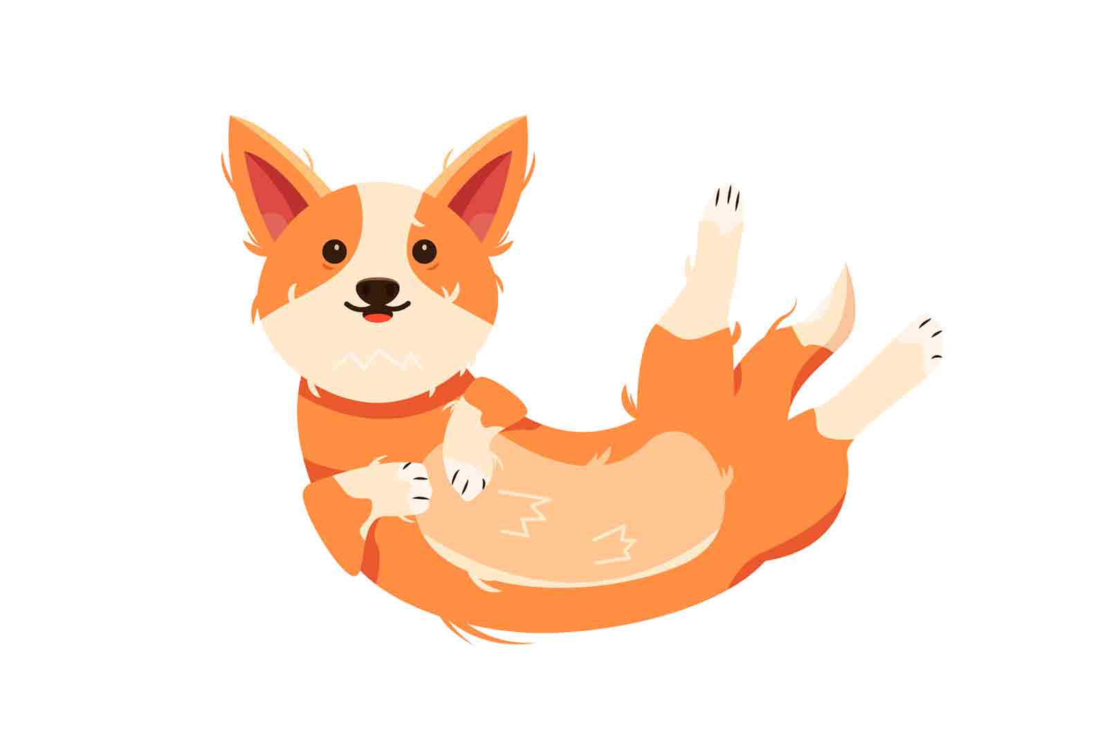 Corgi dog icon isolated on white background, flat vector illustration.