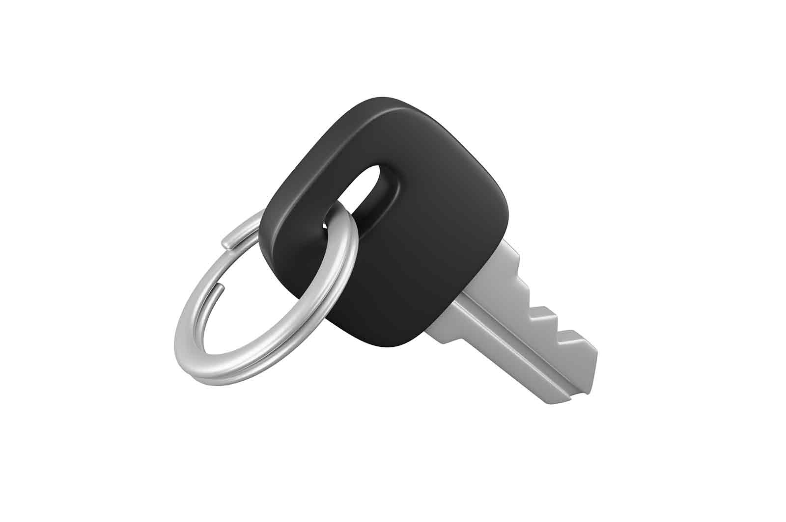 Private or digital key icon, protection and security sign 3d rendered illustration. Access to information, username or personal account 3d isometric